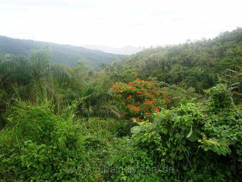 1370 Sierra del Escampray.JPG