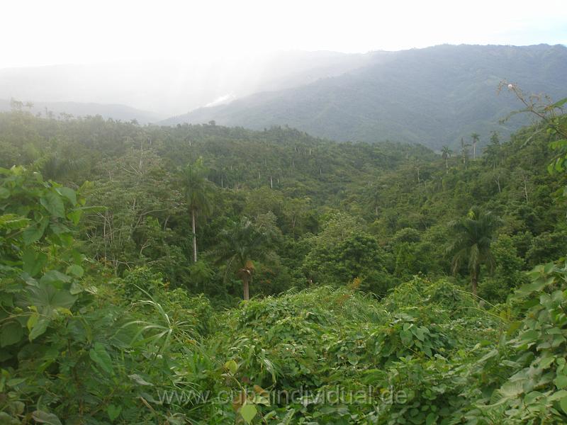 1650 Sierra del Escampray.JPG
