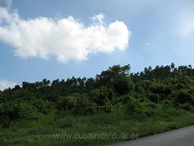 5460 Fahrt von Moa nach Holguin.JPG