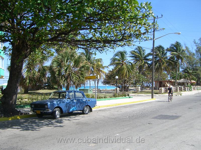 CIMG3648.JPG