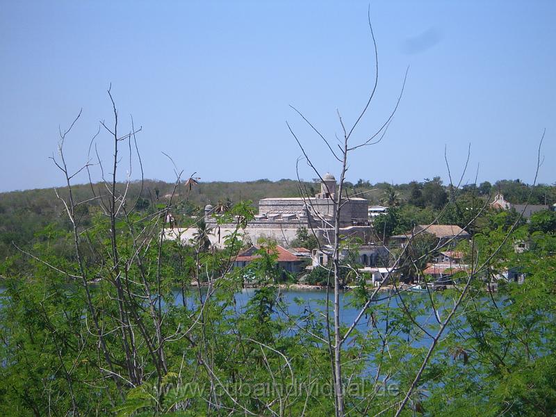CIMG4931.JPG