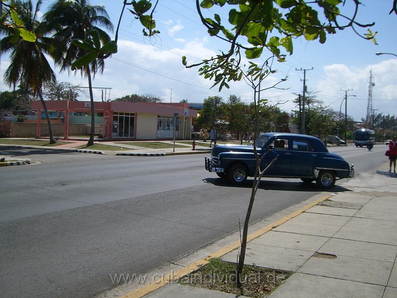 CIMG5335.JPG