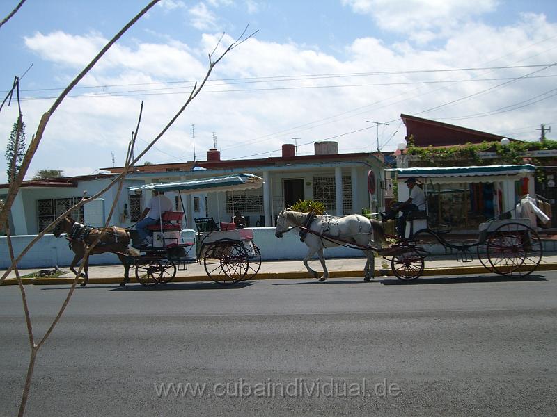 CIMG5379.JPG