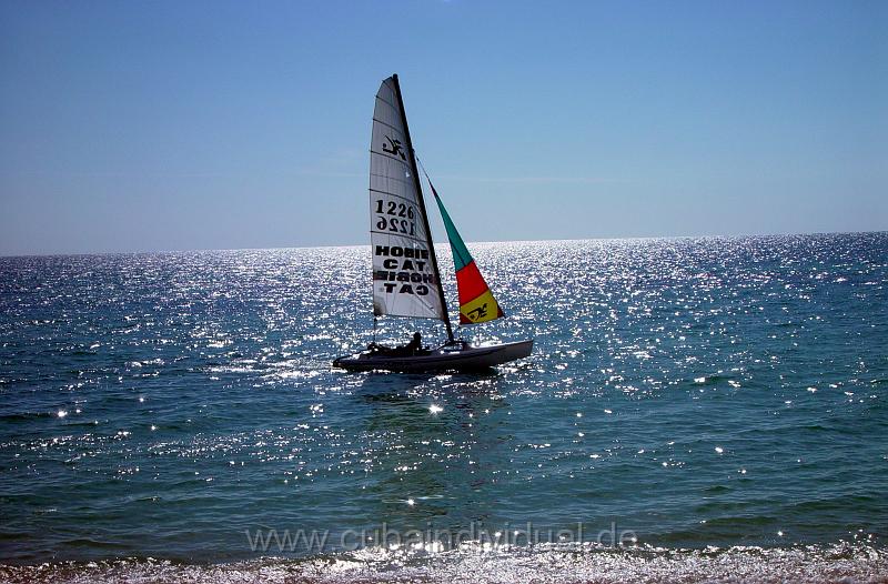 DSC00762.JPG
