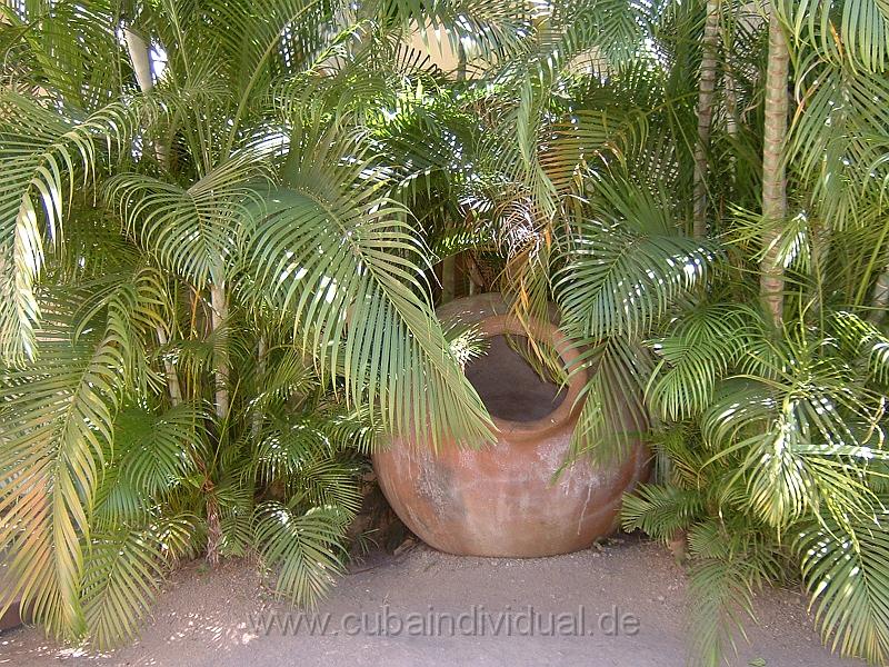 DSCF0057 (2).JPG