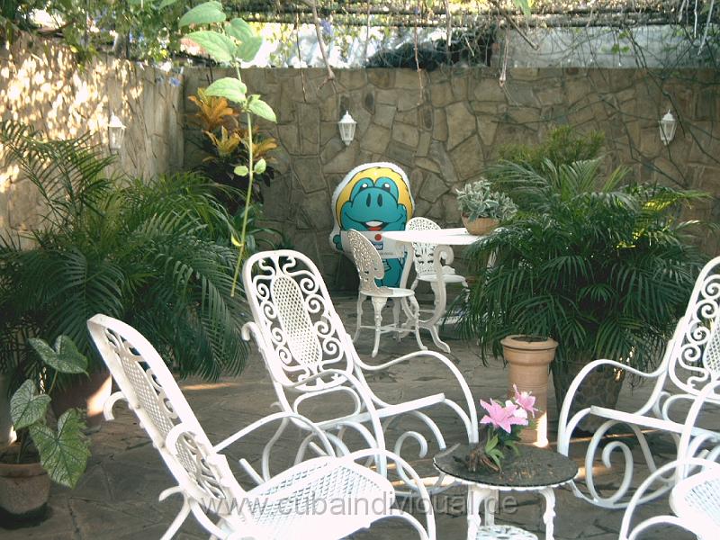 IMAG0013.JPG