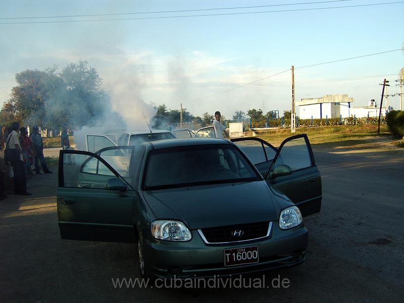 IMG00042.JPG