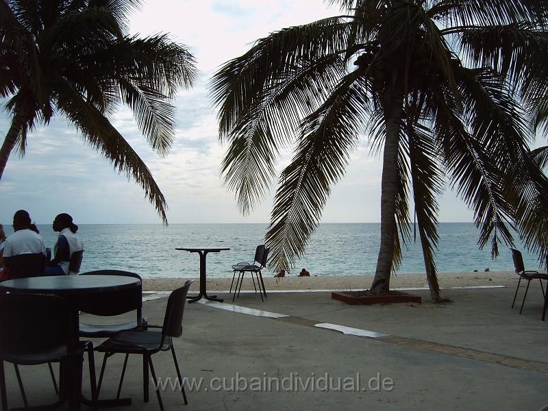IMG00050 (2).JPG