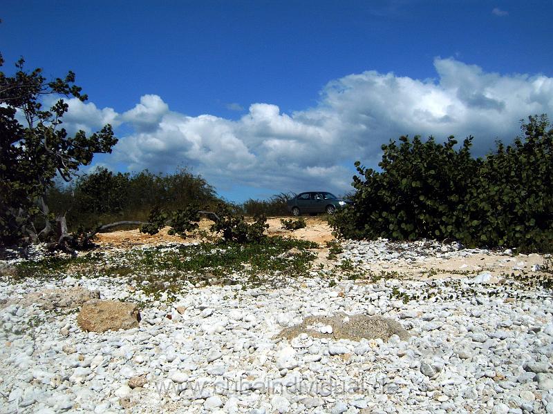IMG000621.JPG