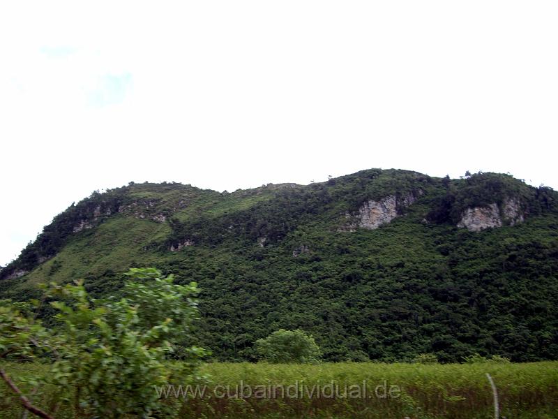 IMGP0957.jpg