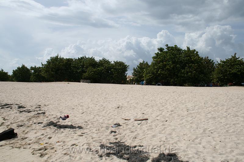 IMG_0605.jpg