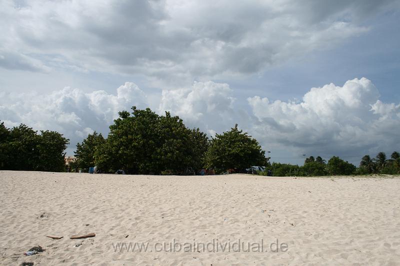 IMG_0607.jpg