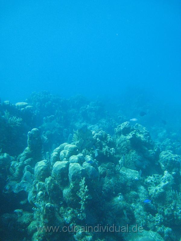 IMG_0881.JPG