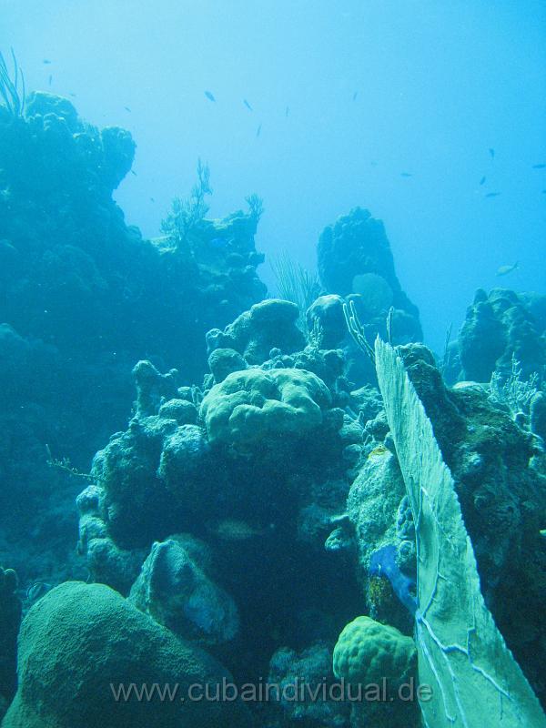 IMG_0884.JPG