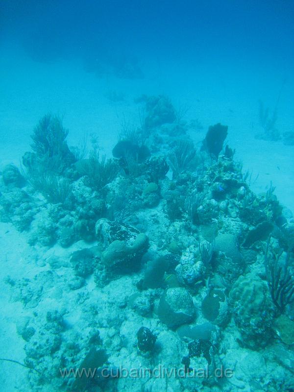 IMG_0895.JPG
