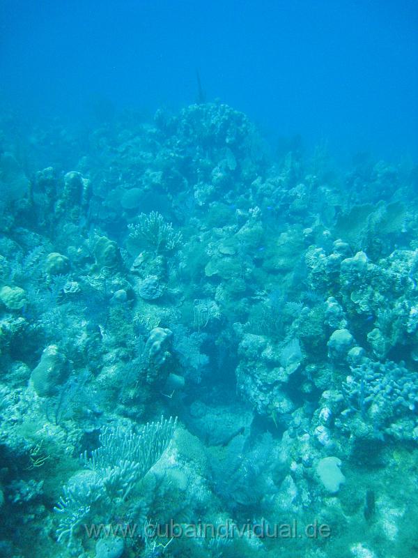 IMG_0906.JPG