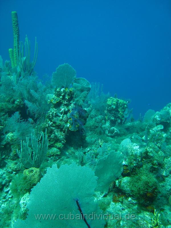 IMG_0913.JPG