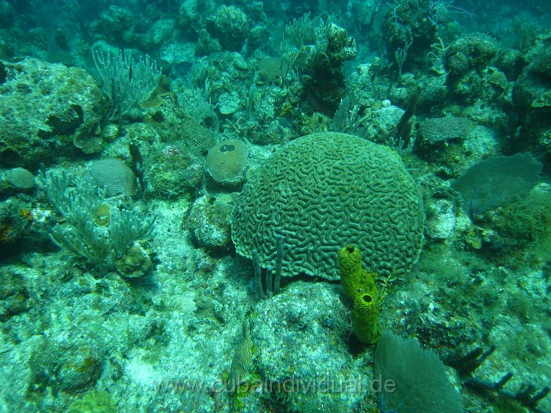IMG_1014.JPG