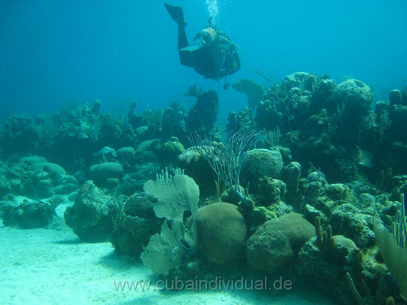 IMG_1076_2.JPG