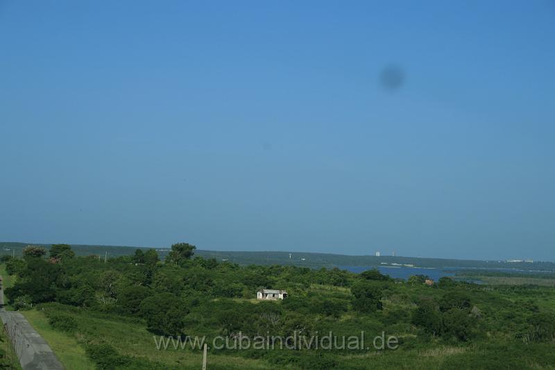 IMG_1235.jpg