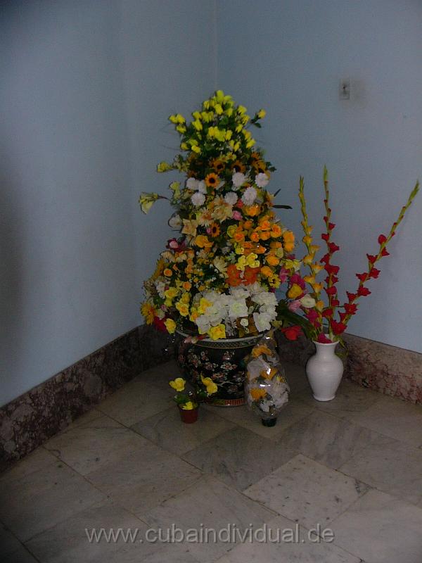 P1050337.JPG