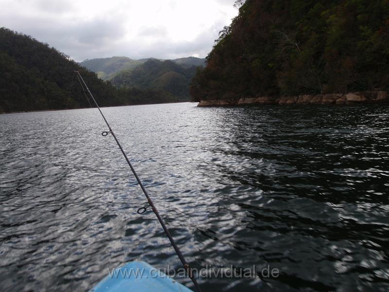 P2240141.JPG