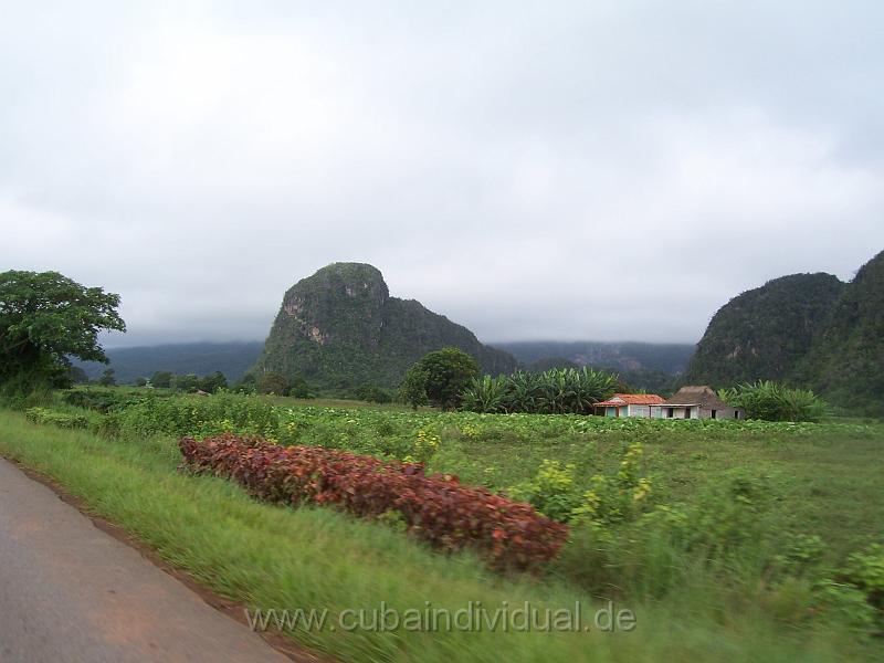cuba 2007 146.jpg