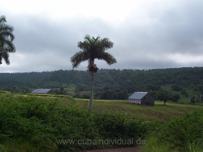 cuba 2007 154.jpg