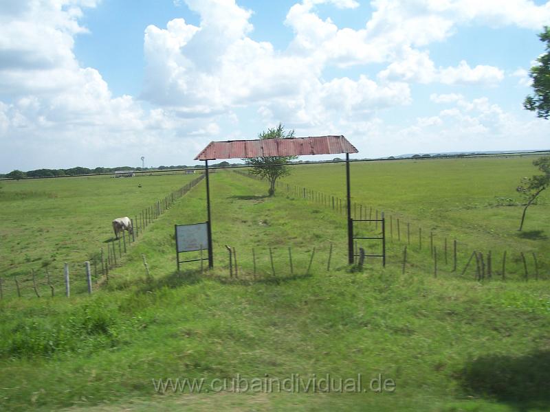 cuba 2007 499.jpg