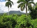 4740 Baracoa - Fahrt zum El Yungue