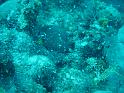 DSC00502